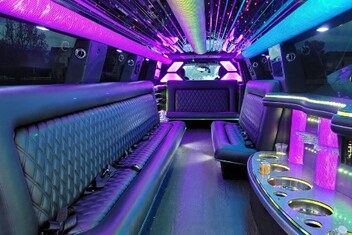 Provo Limo Interior